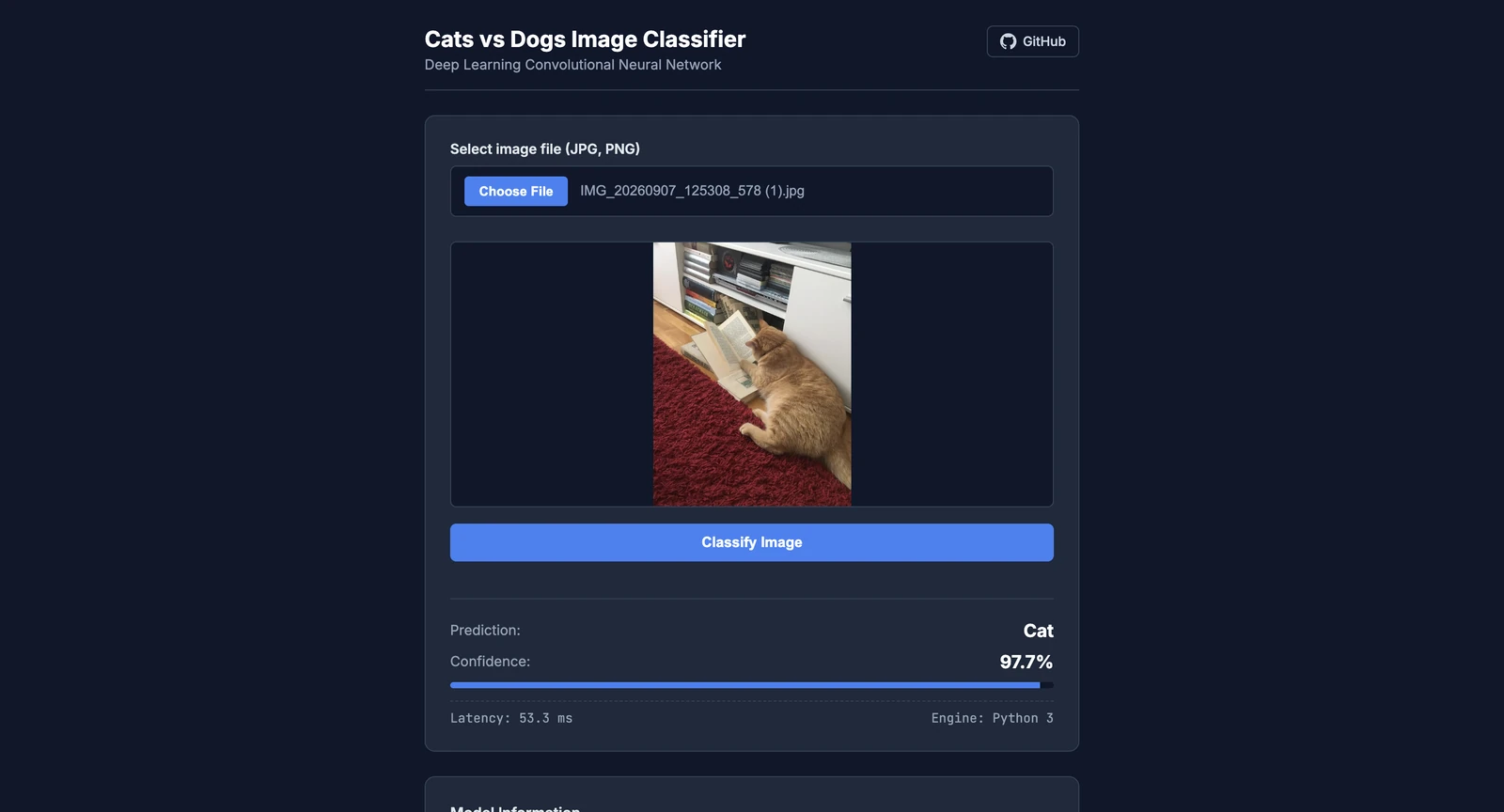 Image Classification: Dogs vs Cats — image 3