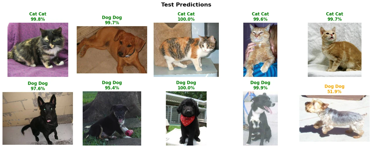 Convolutional Neural Networks